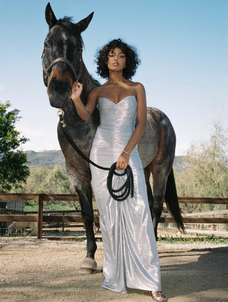 SABLE RUCHED SILVER GLITTER GOWN