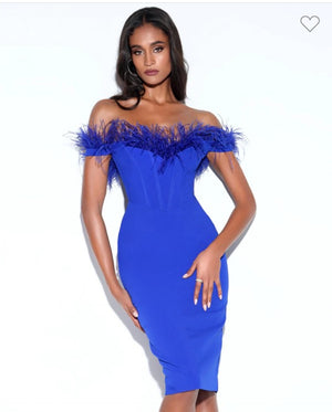 LOVE ME WITH BLUE FEATHER DRESS